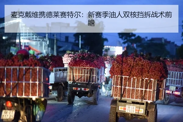 麦克戴维携德莱赛特尔：新赛季油人双核挡拆战术前瞻