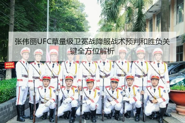 zhang-wei-li-cao-liang-ji-wei-mian-zhan-xiang-fu-zhan-shu-yu-pan-he-sheng-fu-guan-jian-quan-fang-wei-jie-xi-2-793.jpg