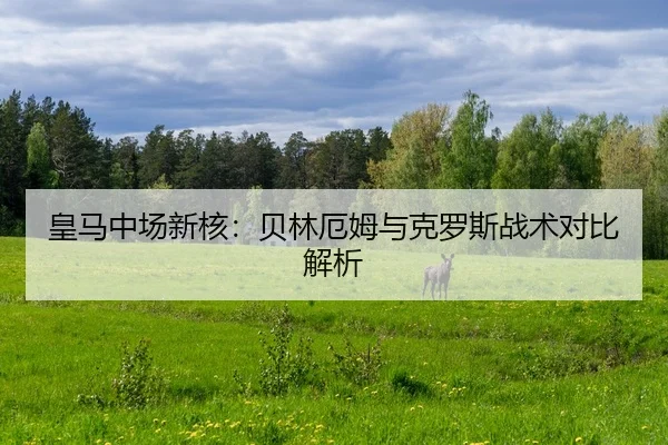 皇马中场新核：贝林厄姆与克罗斯战术对比解析