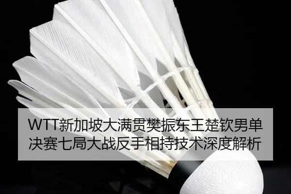 xin-jia-po-da-man-guan-fan-zhen-dong-wang-chu-qin-nan-dan-jue-sai-qi-ju-da-zhan-fan-shou-xiang-chi-ji-shu-shen-du-jie-xi-3-896.jpg